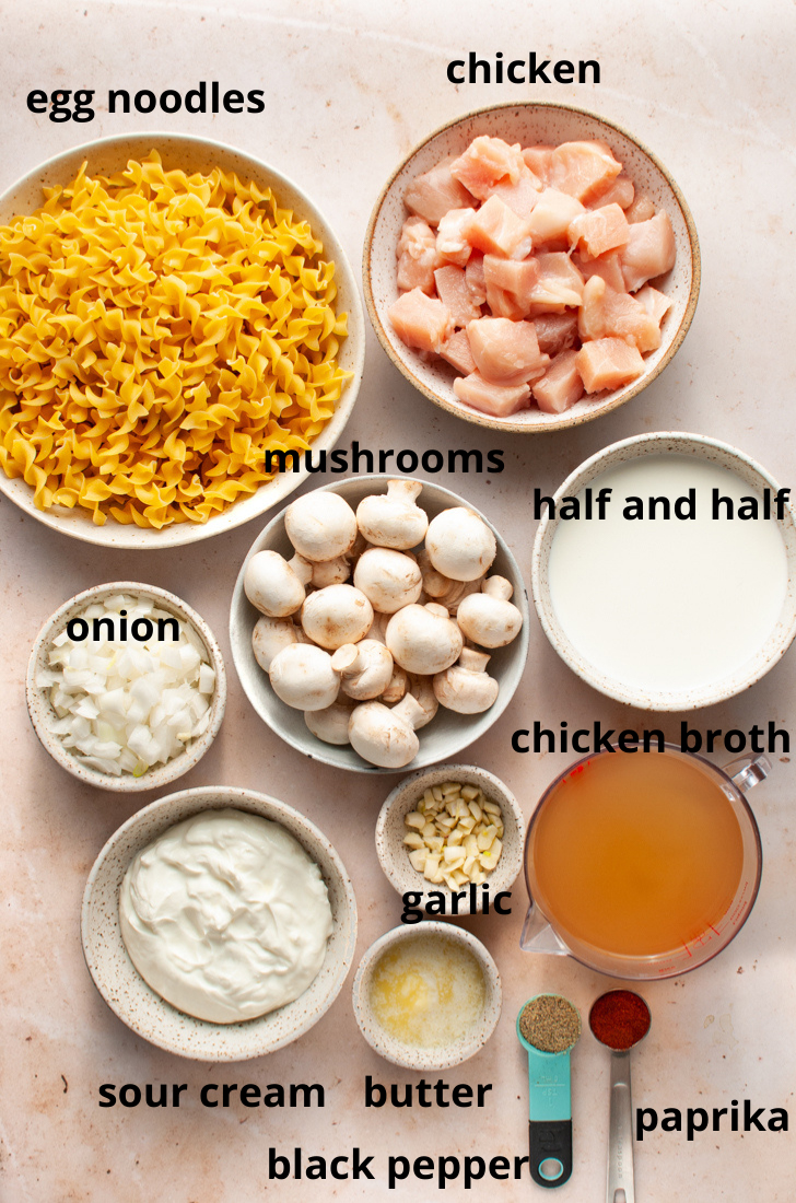 Chicken stroganoff ingredients